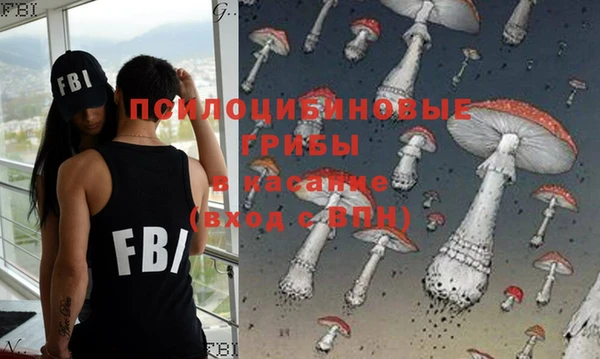 дживик Ельня