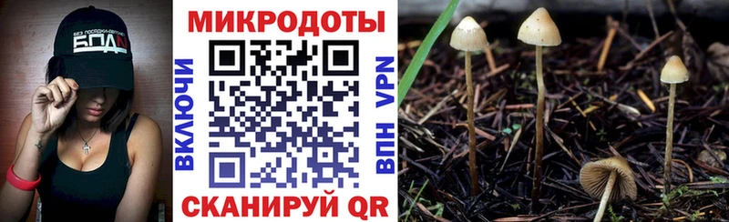 купить  цена  Нерчинск  Галлюциногенные грибы прущие грибы 